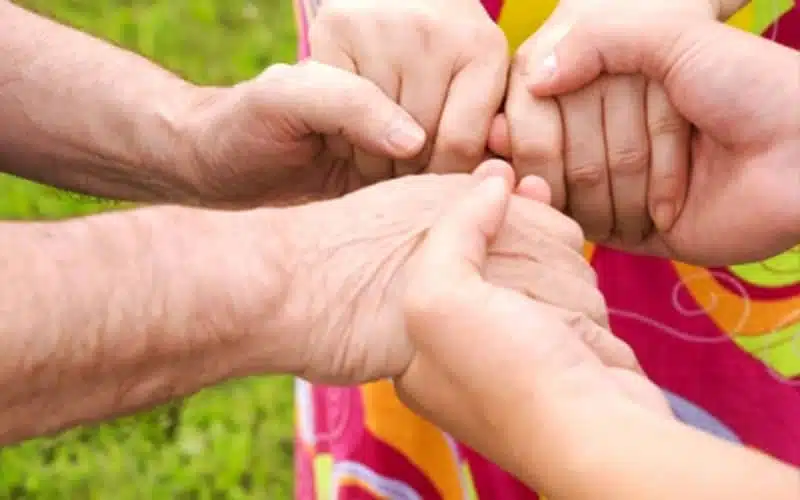 Les Papillons Blancs